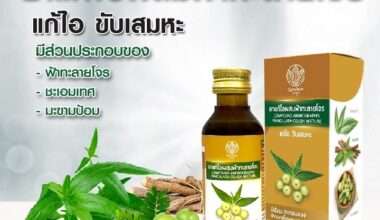 การบูร(Karaboon) ยาแก้ไอสูตรแรกในไทยที่มีส่วนผสมของฟ้าทะลายโจร